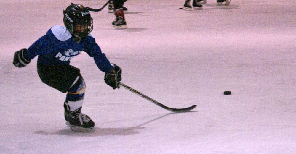 Ted Reeve Skating-Hockey School