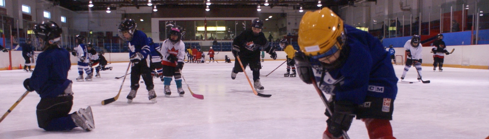 Ted Reeve Skating-Hockey School